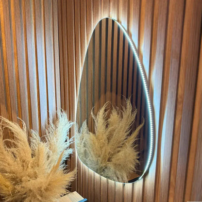 Specchio da Parete Organico Moderno con Illuminazione LED Integrata
